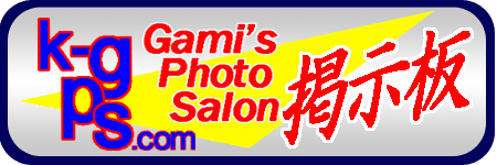 Gami's Photo Salon BBS